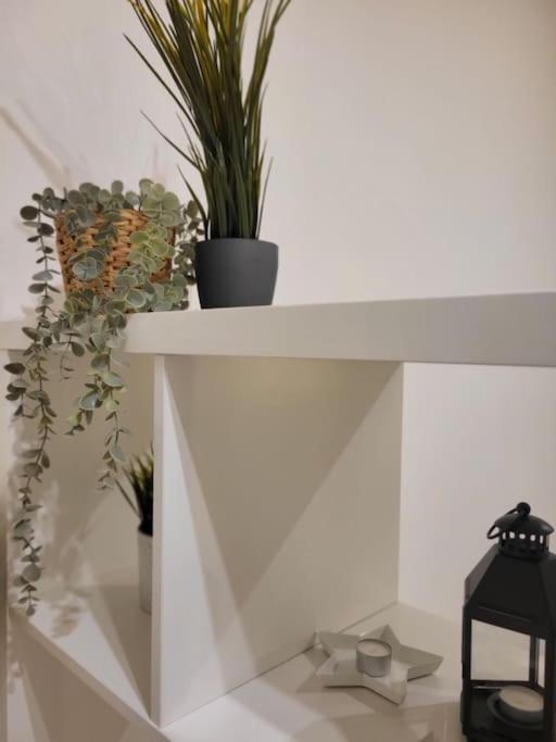 Rifugio In Citta Apartment Модена Екстериор снимка